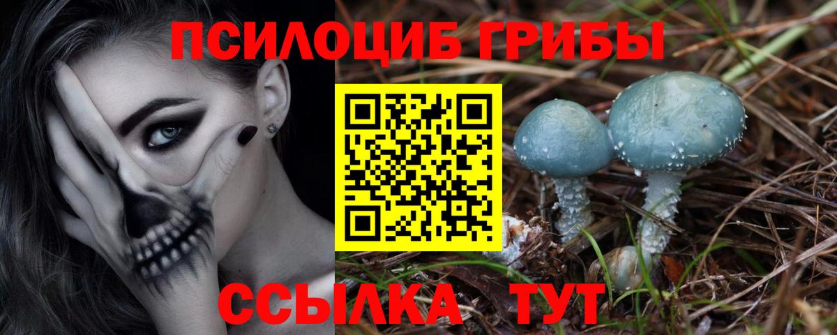 Рязань  Галлюциногенные грибы GOLDEN TEACHER  Галлюциногенные грибы Cubensis  Вход с VPN 