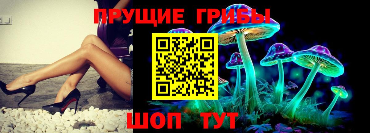 Галлюциногенные грибы Psilocybine cubensis Рязань
