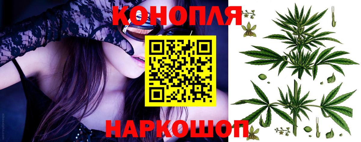 Каннабис сатива Рязань